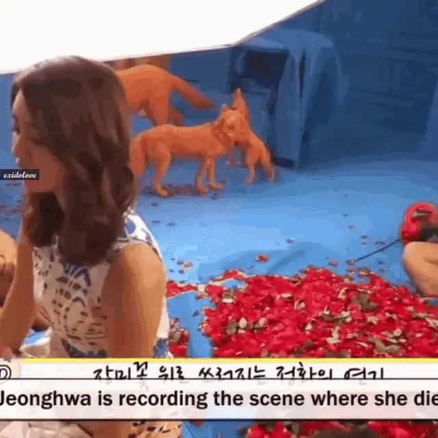 Jeonghwa Exid's Dramatic Fall on Set