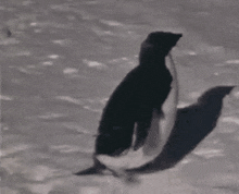 GIF subido por Beezeecambodia
