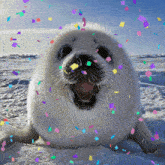 GIF