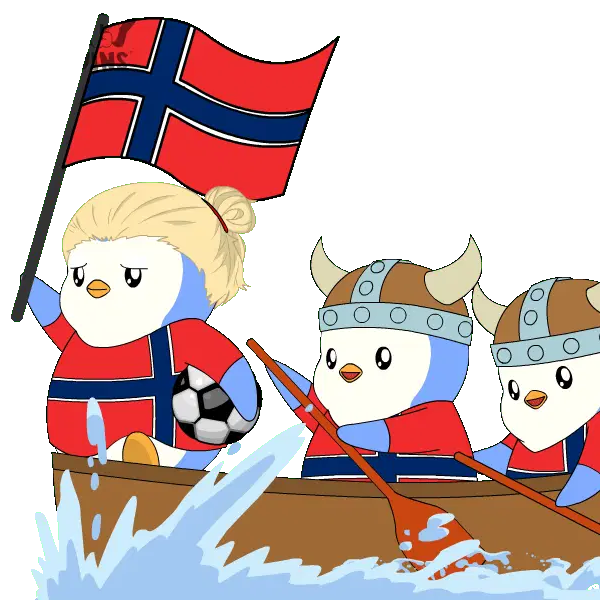 Norway Vikings