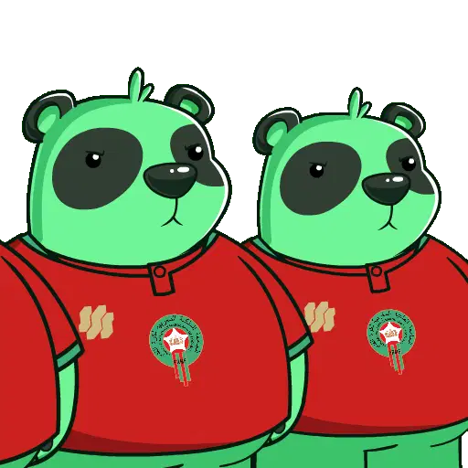Green Panda Morocco Team Lineup | FIFA World Cup Reaction