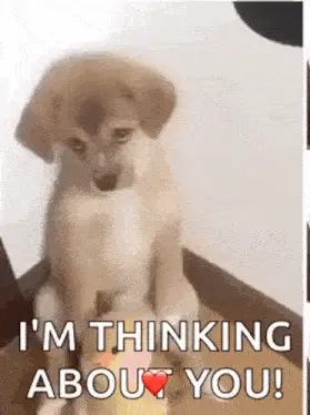 Sad Puppy Thinking About You – memes of 2026 meme GIF free download no watermark 2026