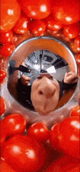 GIF