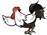 Animated Rooster Flapping Wings Sticker
