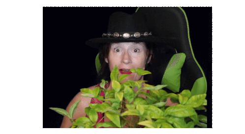 Swansong Peeking from Jalapeno Bush