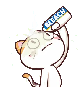 Meong Cat Pours Bleach on Head