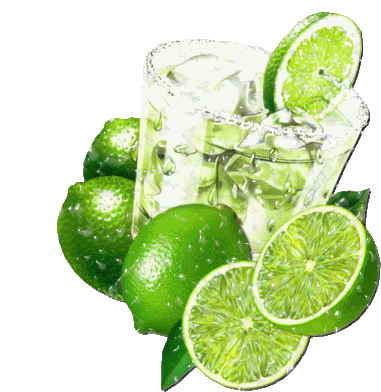 Refreshing Tequila Sour Lime Drink