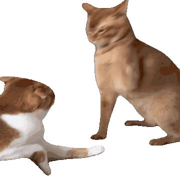 котик бьет Sticker