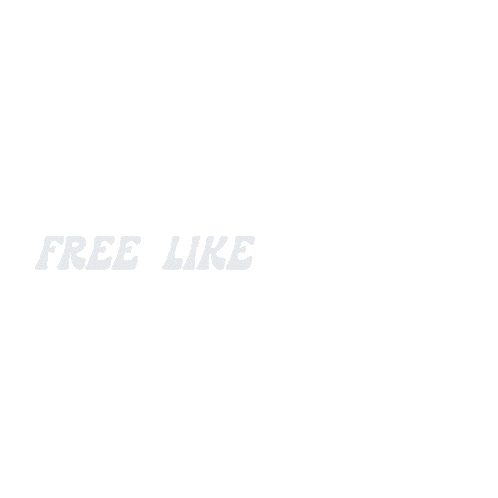 Free Like A Hippie, Fire, Bird - Maddie & Tae
