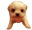 Doogi Adrian Standing Puppy Sticker